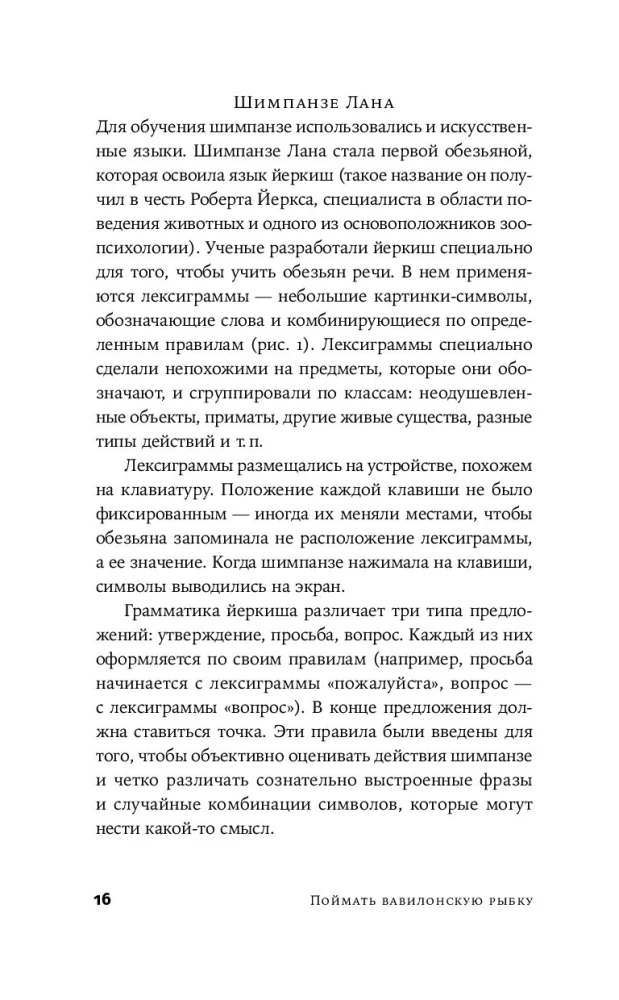 Sugauti Babilono žuvį. Žmogaus smegenys, neuronų tinklai ir užsienio kalbų mokymasis