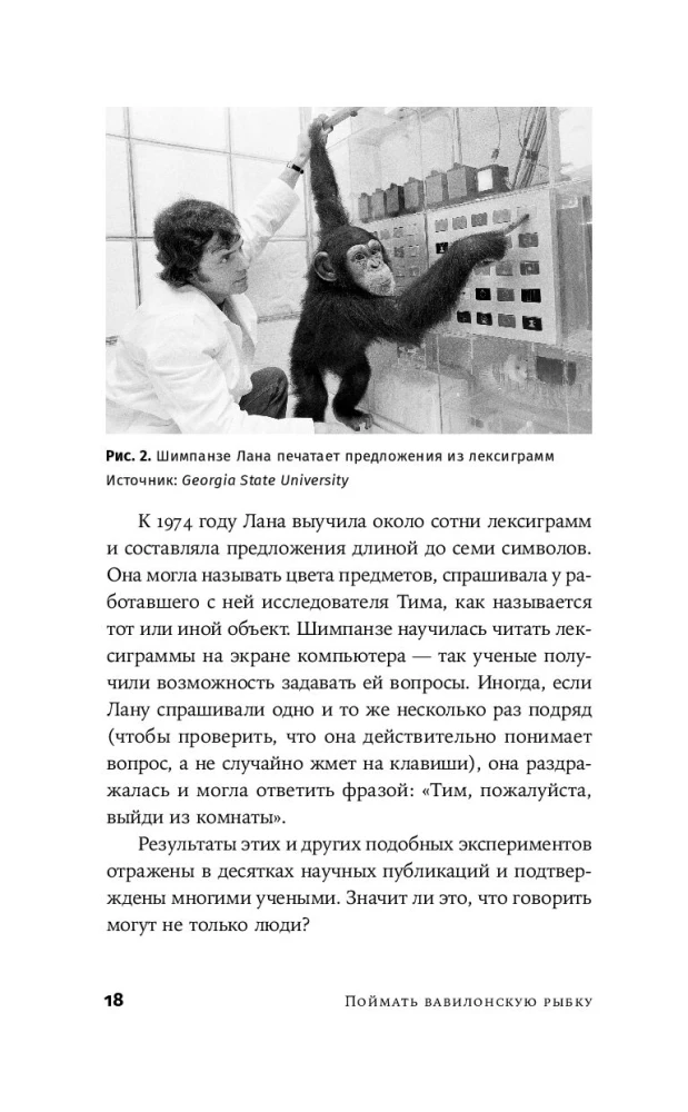 Sugauti Babilono žuvį. Žmogaus smegenys, neuronų tinklai ir užsienio kalbų mokymasis