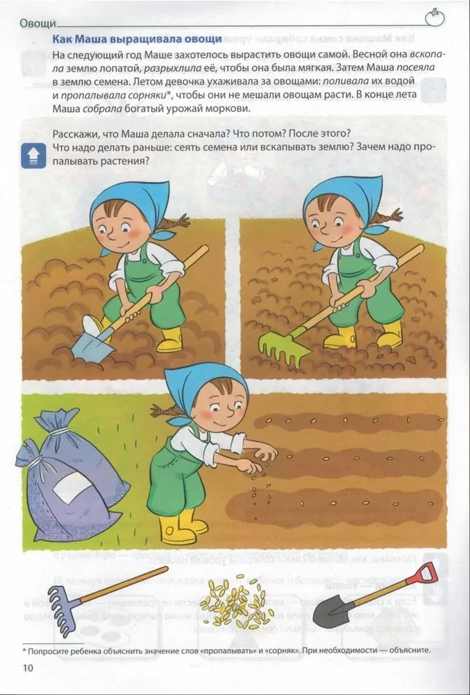 Sõnavara kujundamine. Köögiviljad, puuviljad, marjad, puud, lilled, seened