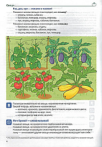 Sõnavara kujundamine. Köögiviljad, puuviljad, marjad, puud, lilled, seened