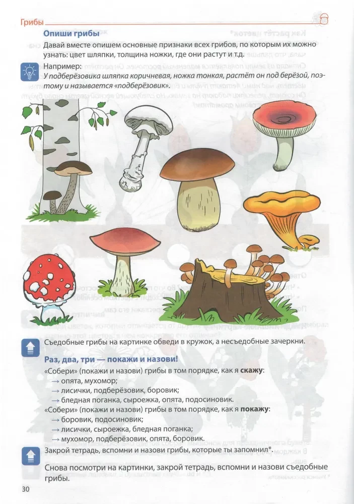 Sõnavara kujundamine. Köögiviljad, puuviljad, marjad, puud, lilled, seened