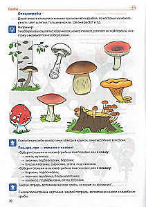 Sõnavara kujundamine. Köögiviljad, puuviljad, marjad, puud, lilled, seened