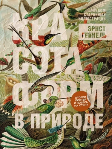 Piękno form w naturze. Album starych ilustracji