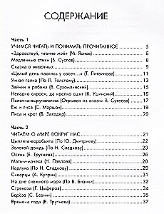 Kirjanduse lugemine. Venemaa kool (Raamat 1)