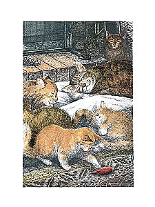 Der erstaunliche Alexander und die geflügelten Katzen