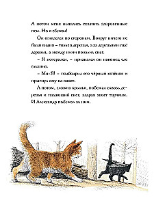 Der erstaunliche Alexander und die geflügelten Katzen