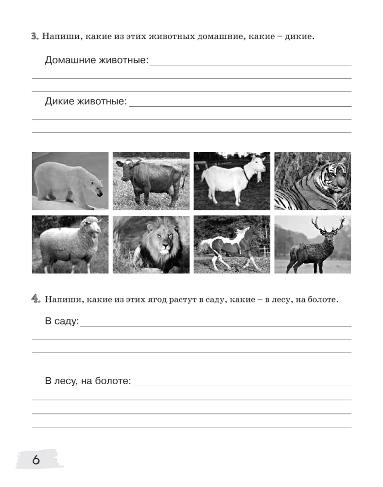 Sources-2. Workbook. 11-13 years old