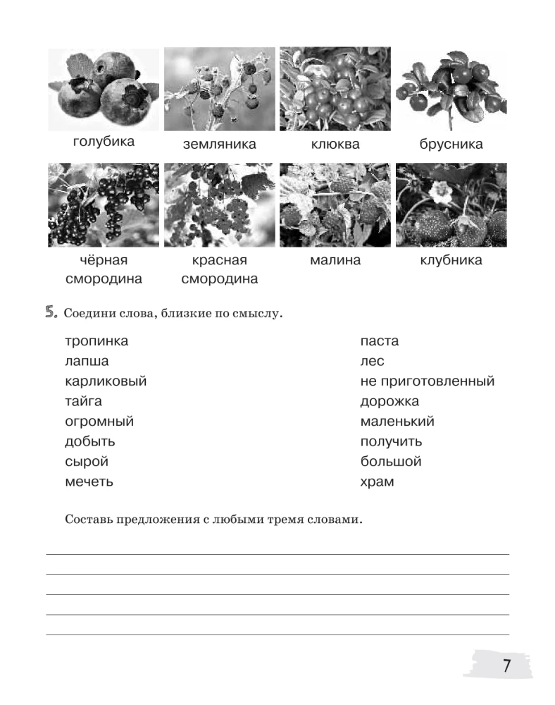 Sources-2. Workbook. 11-13 years old