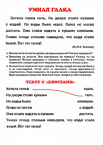 Pirmos knygos skaitymui. Tekstai su skylėmis ir uodegomis. Apgalvoto skaitymo metodika
