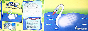 Malbücher für Fingerfarben (Set aus 5 Büchern)