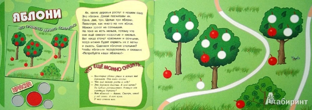 Malbücher für Fingerfarben (Set aus 5 Büchern)