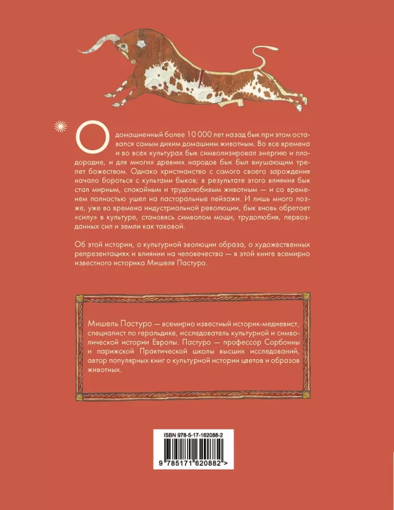Bulius. Kultūrinė istorija
