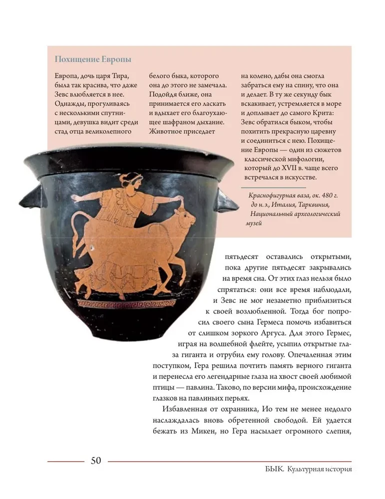 Bulius. Kultūrinė istorija