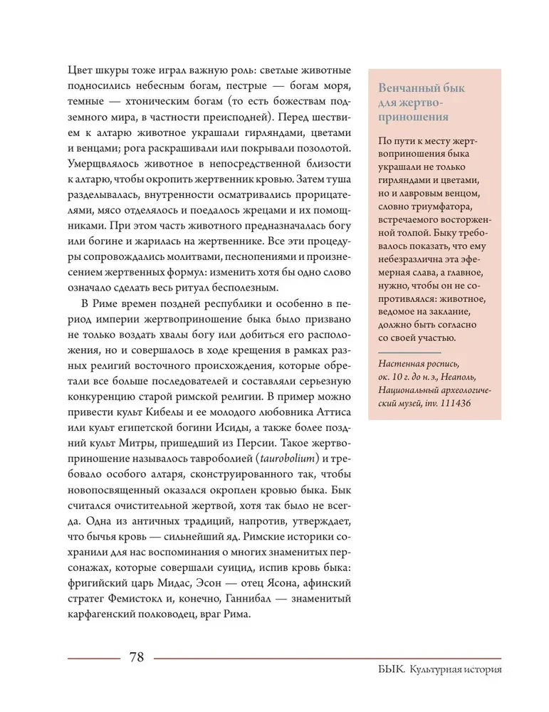 Bulius. Kultūrinė istorija