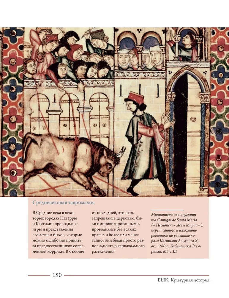 Bulius. Kultūrinė istorija
