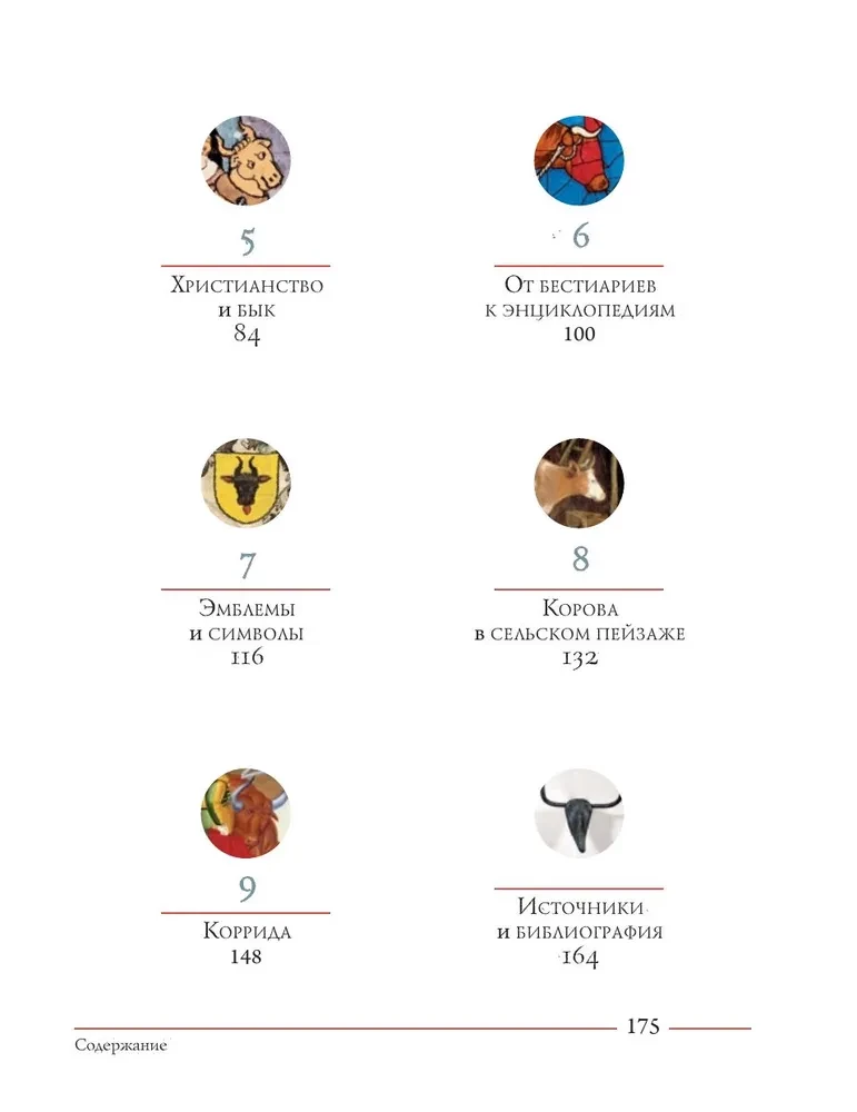 Bulius. Kultūrinė istorija