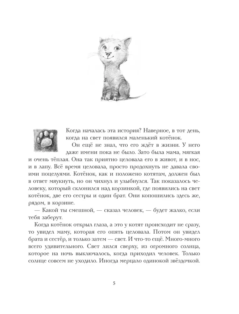 The Big Book of Adventures of Cat Tikhon