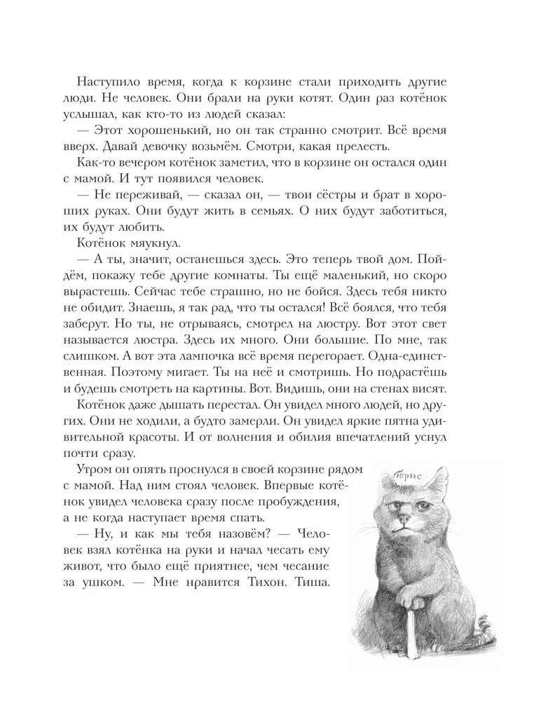 The Big Book of Adventures of Cat Tikhon