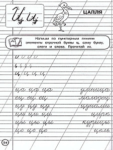 Rašymo pratybos. Ruošiamės rašyti. 5-7 metų