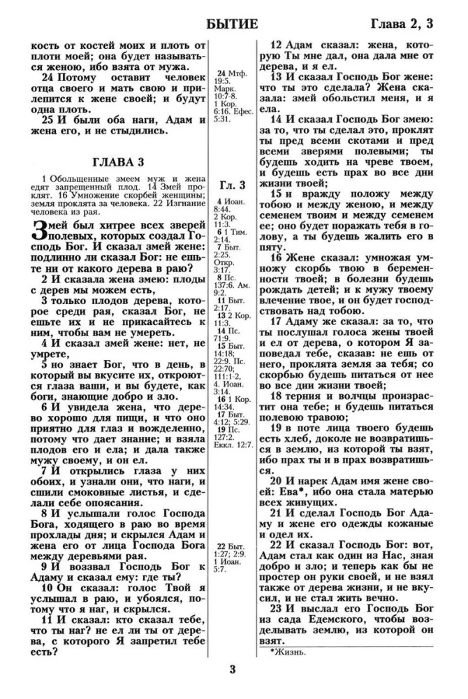 Biblija. Sinodinis vertimas 1876 m.