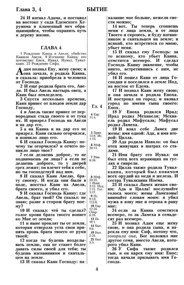 Biblija. Sinodinis vertimas 1876 m.