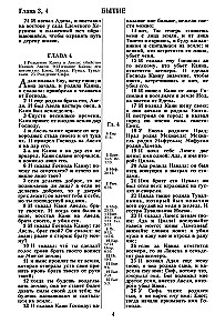 Biblija. Sinodinis vertimas 1876 m.