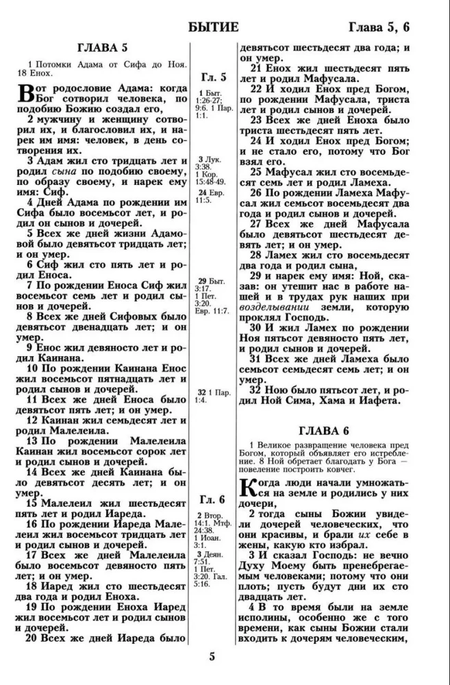 Biblija. Sinodinis vertimas 1876 m.