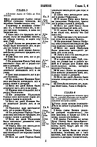 Biblija. Sinodinis vertimas 1876 m.