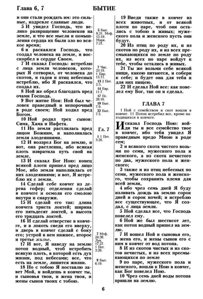 Biblija. Sinodinis vertimas 1876 m.