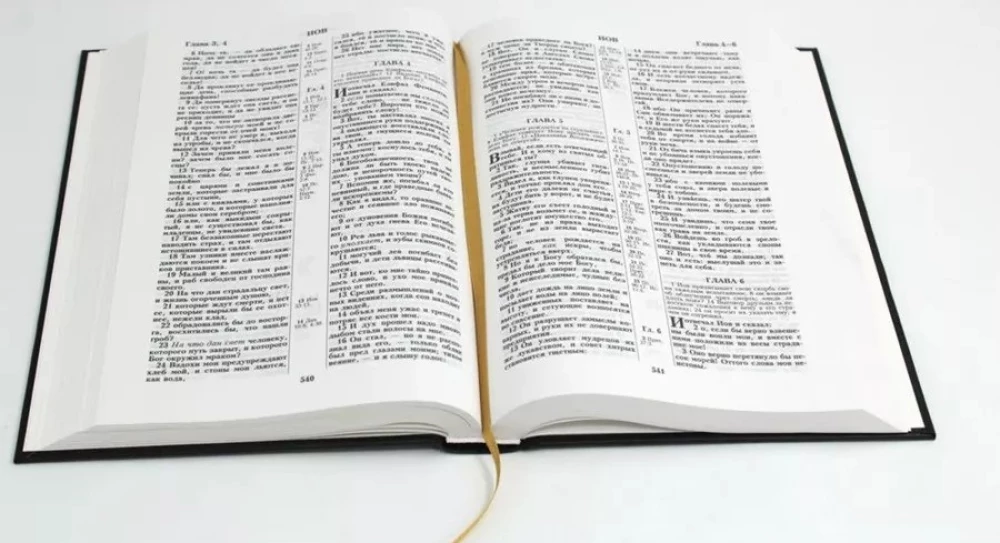 Biblija. Sinodinis vertimas 1876 m.