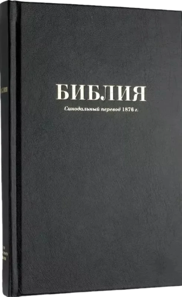 Biblija. Sinodinis vertimas 1876 m.