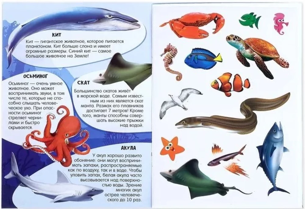 Aktivitätsbuch mit Aufklebern und wachsenden Spielzeugen - Ozean