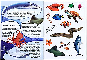 Aktivitätsbuch mit Aufklebern und wachsenden Spielzeugen - Ozean
