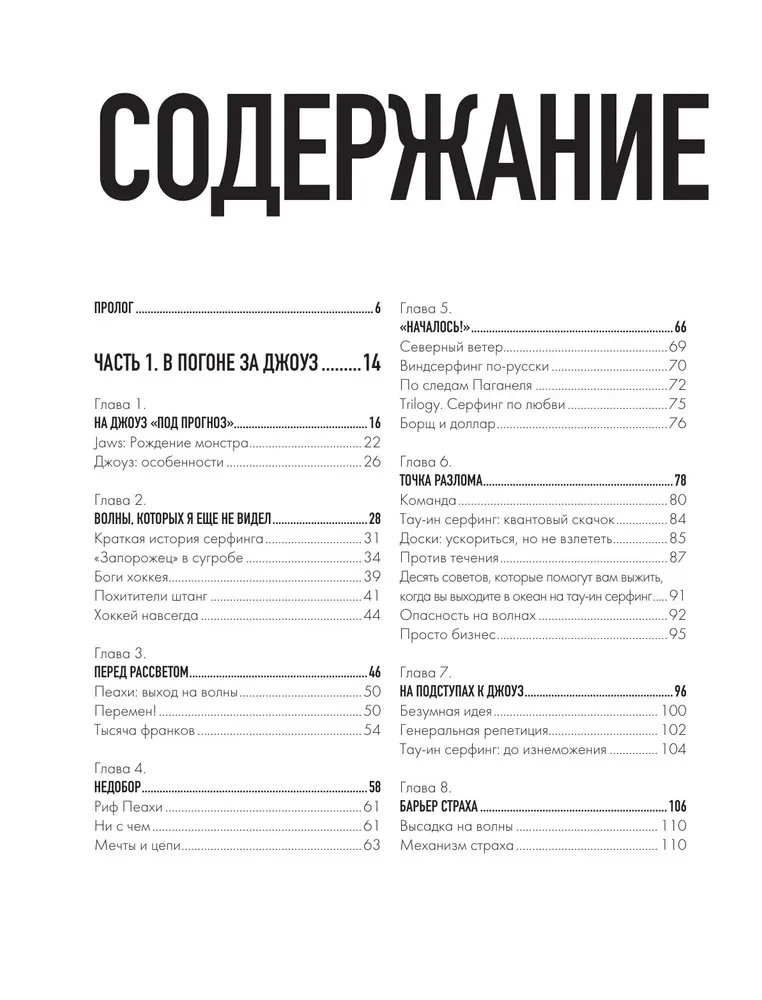 Rasti savo bangą. Gyvenimas, žmonės, kelionės, burlenčių sportas