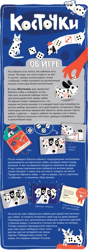 Gra planszowa. Kości