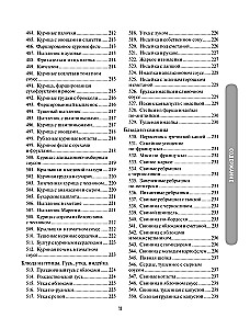 1000 Rezepte für jeden Tag. Großes Kochbuch
