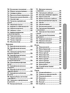 1000 Rezepte für jeden Tag. Großes Kochbuch