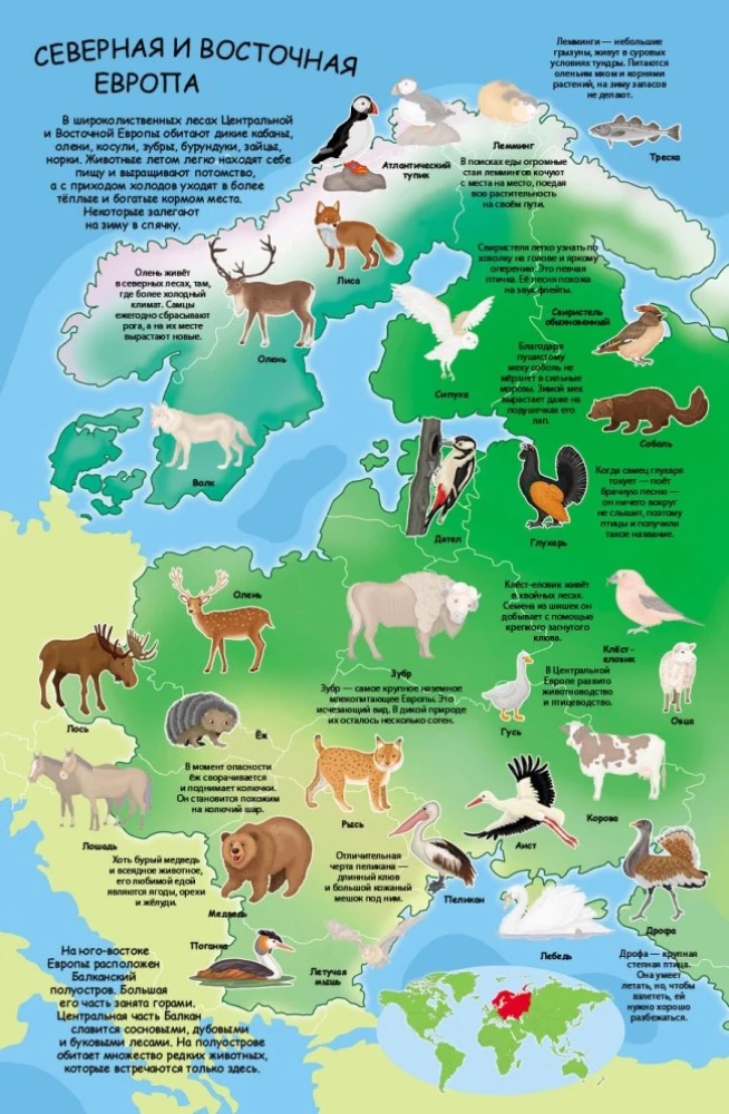Album na naklejki - Atlas zwierząt