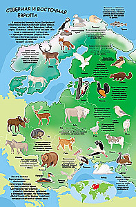 Album na naklejki - Atlas zwierząt