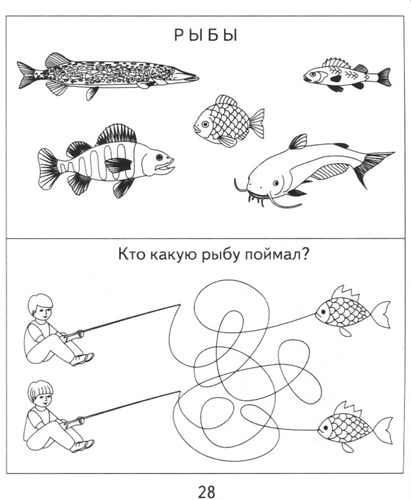 Zeszyt z zadaniami - Świat przyrody. Część 2. Natura
