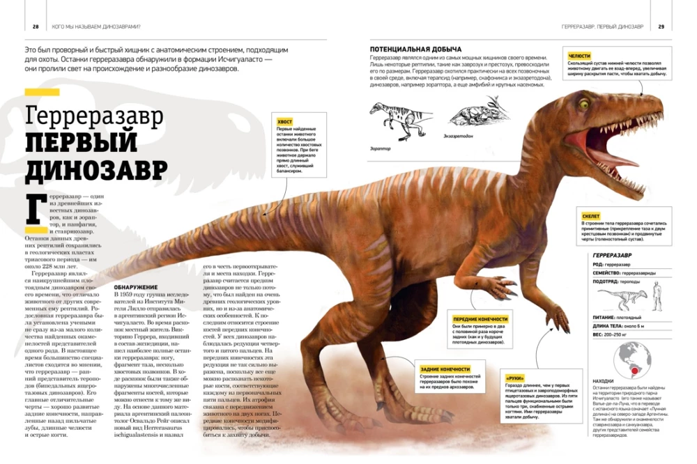 Gigantische Enzyklopädie der Dinosaurier