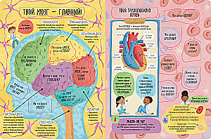 The Big Book with Windows. The Human Body