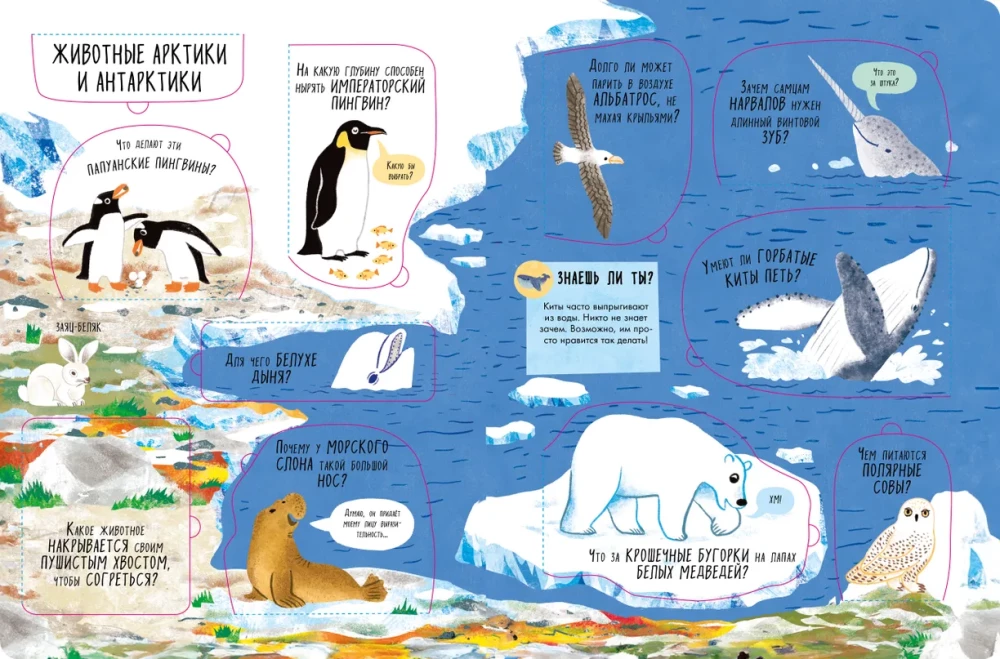 Big Book with Windows. Animals