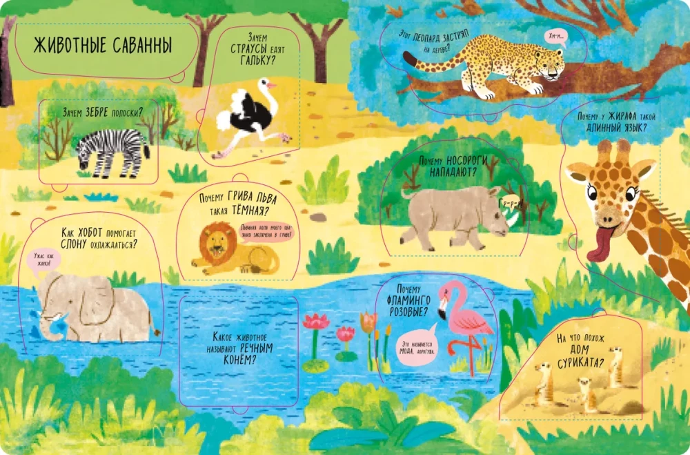 Big Book with Windows. Animals