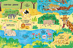 Big Book with Windows. Animals