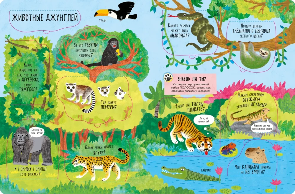 Big Book with Windows. Animals