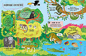 Big Book with Windows. Animals