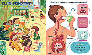 The Human Body
