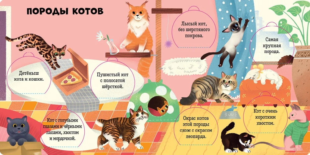 Favorite Animals. An Encyclopedia with Windows