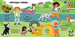 Favorite Animals. An Encyclopedia with Windows